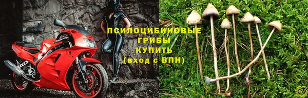 каннабис Вяземский