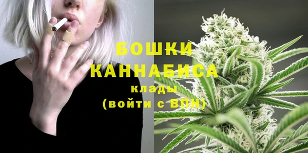 амф Вязьма
